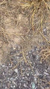 เฮอร์โฟซิเนต4ลิตร-มิตรสมบูรณ์🤺***ยกลัง6แกลลอน*** : ชื่อสามัญกลูโฟซิเนต15%W/VSL(หญ้าปากควาย/หญ้าสาบเสือ/หญ้าตีนกา/ตีนนก)