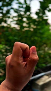 Sandal wanita remaja trend model 2025 Korea Style karet jelly ori original