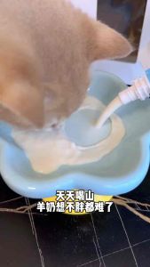 【Malaysia Ready Stock】Monbab Pet Goat Milk Dog Cat Food 200ml蒙贝萨能山羊奶 猫咪宠物零食猫犬 Susa Kuching/Pet Milk/pet treats