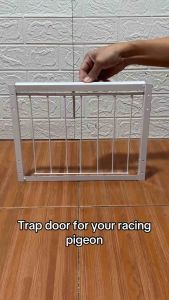 Pigeon Loft Trap Door