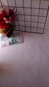 (3/6)Bh sport  Wanita  Katun Remaja Busa  Tipis Nyaman Lembut Mirip Lutty Bh Remaja Motif Karakter Jawahirah fashion