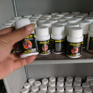 JAMU MERPATI EXTRA JP SUPLEMEN MERPATI TINGGIAN DAN KOLONGAN