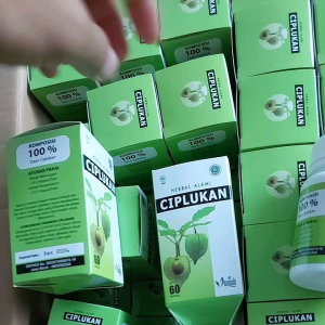 Ciplukan Inayah isi 60 kapsul