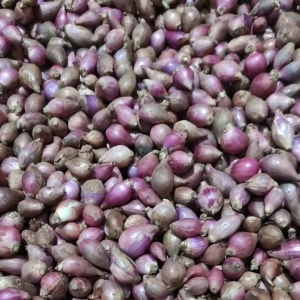 Bawang Merah Lokal 1kg Ukuran Sedang