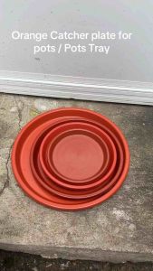 Orange plate for pots Pots Tray Soucer for pots water catcher pots for plants