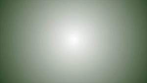 Hi-Potassium C30 500ml Phân bón lá hữu cơ khoáng