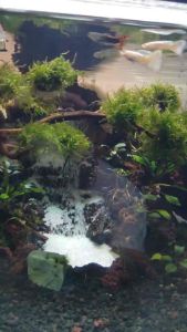 Pasir malang
