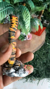 Pohon Kelapa Hiasan Aquarium & Dekorasi Aquascape