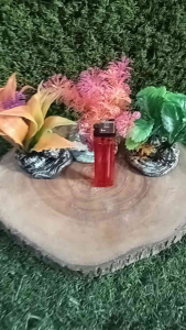 3 pcs rumput plastik tanaman Aquarium/Aquascape (motif random)