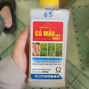 Thuốc trừ cỏ chọn lọc nội hấp tiền nảy mầm CỎ MẦU GOLD 500EC-THUỐC DIỆT CỎ MẦM