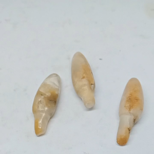 batu mustika kantil