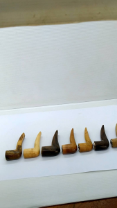 Once sedotan varian cangklong minimalis 7cm kayu nogosari Cendana galih asem liwung kelor Jawa kelor hitam bajaka j20