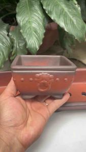 nung bằng Thanh lý 8 chậu mini trồng cây bonsai chậu trồng sen đá xương rồng chậu Bát Tràng  chau thần kỳ full trọn bộ dọc  tường  loc vung giấy  nhỏ chậu  thủ công gốm sứ avi vuông nhựa ang gạch bonsai  ongtre chậu  bonsai   đất cảnh khuon chaucanhdep