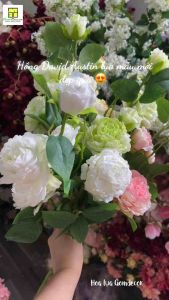 ( MỚI VỀ ) Hoa hồng anh giả hoa hồng David Austin hoa lụa cao cấp