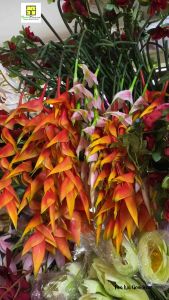 Hoa chuối cảnh giả hoa chuối mỏ két hoa chuối tràng pháo hoa giả đẹp cao cấp