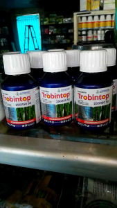 FUNGISIDA Trobintop 80ml azoksistrobin 200 / difekonazol 150