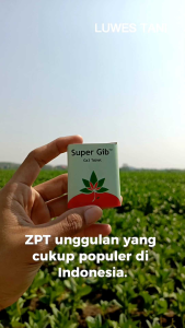 Super gib zpt ga3 pupuk daun