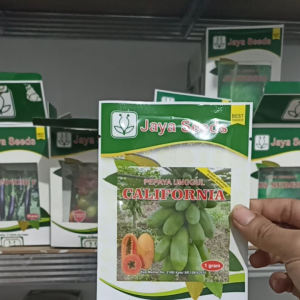 BIBIT BENIH PEPAYA MADU CALIFORNIA 1 GRAM JAYA SEED Setara Calina Ipb