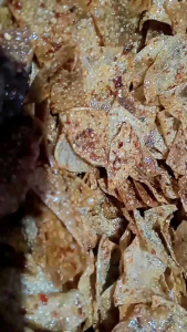 cemilan seuhah pedas gurih elod bojot kemasan 1kg