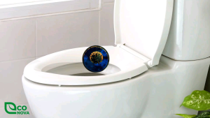 Nước tẩy rữa nhà vệ sinh Econova không mùi hóa chất