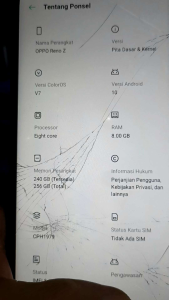 MESIN OPPO RENO Z RAM 8/256 NO POLA