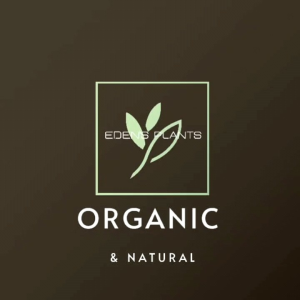 Thai Amulets (พระเครื่องไทย)