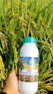 จ้าวเขียวจัง อาหารเสริมพืชฉีดพ่นทางใบ