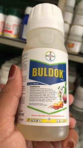 Buldok 25EC 100ML