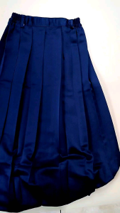 ROK BIRU Rempel SMP/MTS BAHAN ELEMEN