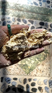 Cám Bắp (Ngô) 1kg Nguyên Liệu Ủ Phân Hữu Cơ