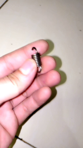 Cluth Spring Per Kampas Mesin Gergaji Senso Chainsaw 070