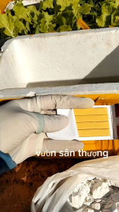 05Kg Vôi Cục Vôi Sống Xử Lý Đất Diệt Rong rêu Phòng Bệnh...Dùng Cẩn Thận
