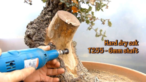 Alat Bonsai Mata Bor Jin Model Bulat Sedang AS 6 mm