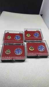 2 Pins+Case | GSP Pin + World Pin | Twinkler Star Junior Senior Scout Pins by Lucky888corp