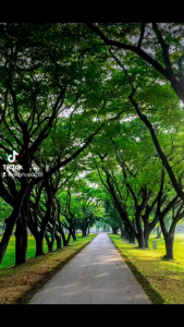 PAKET HEMAT 95 RIBU DAPAT 3 PCS SETELAN PIYAMA BAJU TIDUR WANITA DEWASA