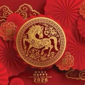 2026 Horse Year Red Envelopes🧧(SG Stocks)