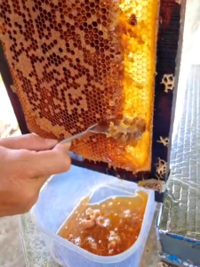 mật ong tự nhiên