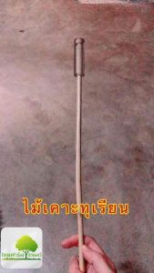 ไม้เคาะทุเรียนไม้หวายราคาต่อ1อัน ไม้หวายแท้ ของดีมีคุณภาพส่งจริง