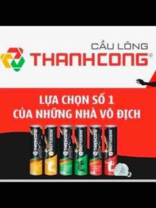 CẦU LÔNG THÀNH CÔNG - CHÍNH HÃNG (Số lượng 12 quả/ hộp gồm các loại 767778)