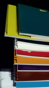 Carnival Spring Notebook sold per piece random color 80 leaves