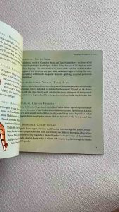 Nava Durga: The Nine Forms Of The Goddess