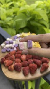 LOVEBITE CRISP[50G] Freeze dried TRIO YOGURT CUBE🥛