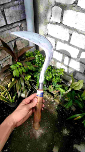 (PAKET 2PCS) PEMOTONG RUMPUT/SABIT+ BATU ASAHMARN PISAU RUMPUT BERKUWALITAS /ALAT BERKEBUNPISAU RUMPUT