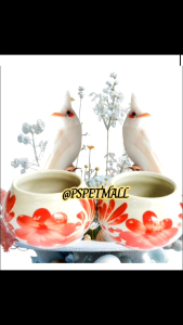 ถ้วยน้ำถ้วยอาหารนก เซรามิคเคลือบเงาลายดอกแดง ขนาดใหญ่(L)(ราคาต่อคู่)