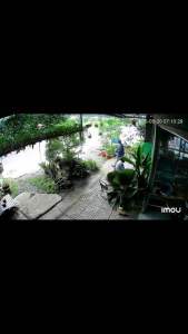 Thuốc trừ sâu Actatac 300EC cao cấp | Sản phẩm nông nghiệp | Hiệu quả diệt sâu ve bọ rầy chong chên | Thiết kế tiện dụng 450ml | Phù hợp cho vườn cây hoa kiểng
