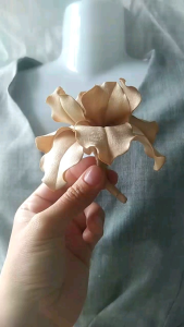Hoa diên vĩ cài áo handmade Canto màu nu