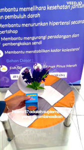 4 Box Pinera 57 Obat Herbal Alami Bantu Atasi Stroke Diabetes Jantung Pemhuluh Darah Tersumbat Hipertensi Kolesterol Peradangan Asam Lambung Asam Urat