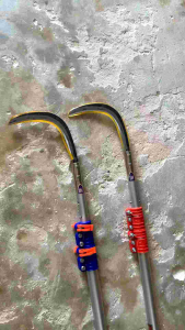 SABIT BUAH 5 M ORANG ASLI ORIGINAL MALAYSIA