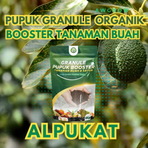 Pupuk Tanaman Buah Alpukat 1kg Granul Padat: Menyuburkan Media Tanam & Memacu Pembuahan Alpukat Lebat