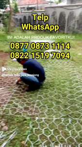 Bronjong Kawat Galvanis Manual Lubang 8/10 dan 10/12